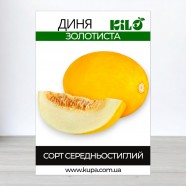 Семена дыни Золотистая, 0,5кг
